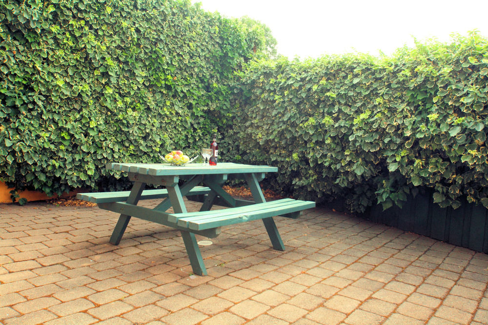 לונסטון Elphin Serviced Apartments מראה חיצוני תמונה