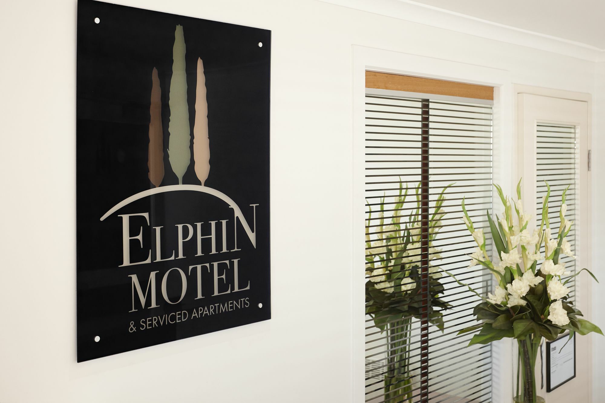 לונסטון Elphin Serviced Apartments מראה חיצוני תמונה
